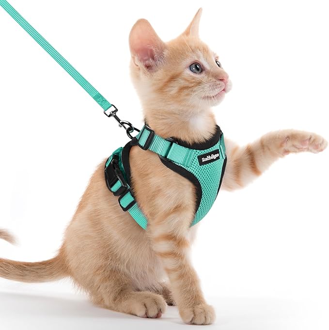 rabbitgoo Cat Harness and Leash by rabbitgoo