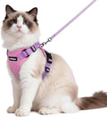 rabbitgoo Cat Harness and Leash by rabbitgoo