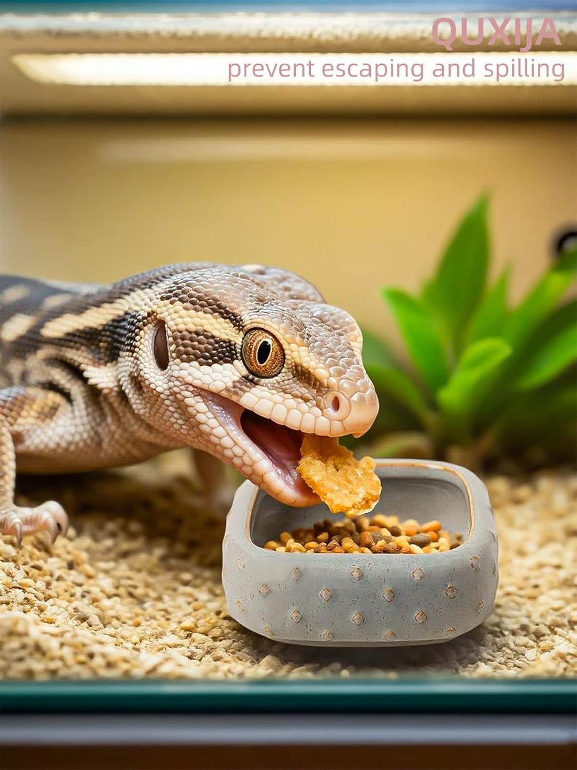 2 Pcs Ceramic Reptile Food Bowl, Mini Reptile Feeder, Anti Escape Feeder for Lizard, Anoles, Chameleon, Bearded Dragon, Gecko, Square (Farmhouse Grey)
