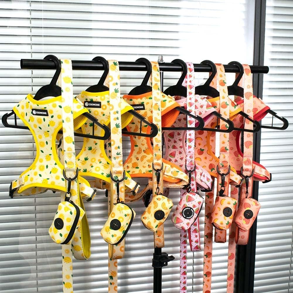 Dog Harness and Leash Set, Adjustable Dog Harness, Dog Leash, No Pull No Choke Puppy Harnesses for Walking Training for Small Medium Pet