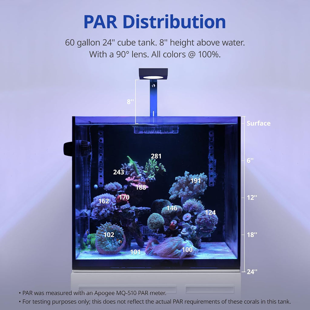 NICREW NavaReef LED Reef Light, 65W Aquarium Lighting for Soft/LPS Corals