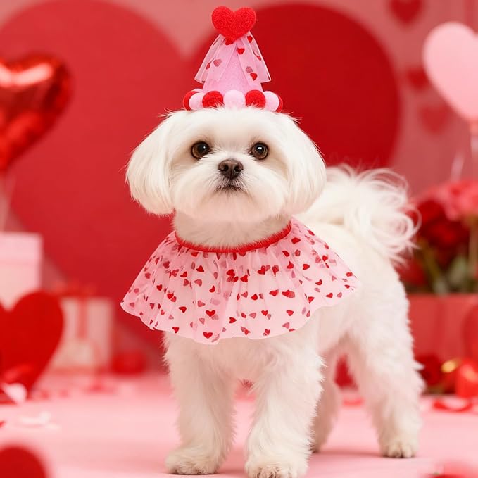 SCENEREAL Valentine's Day Cat Costume - Image 5