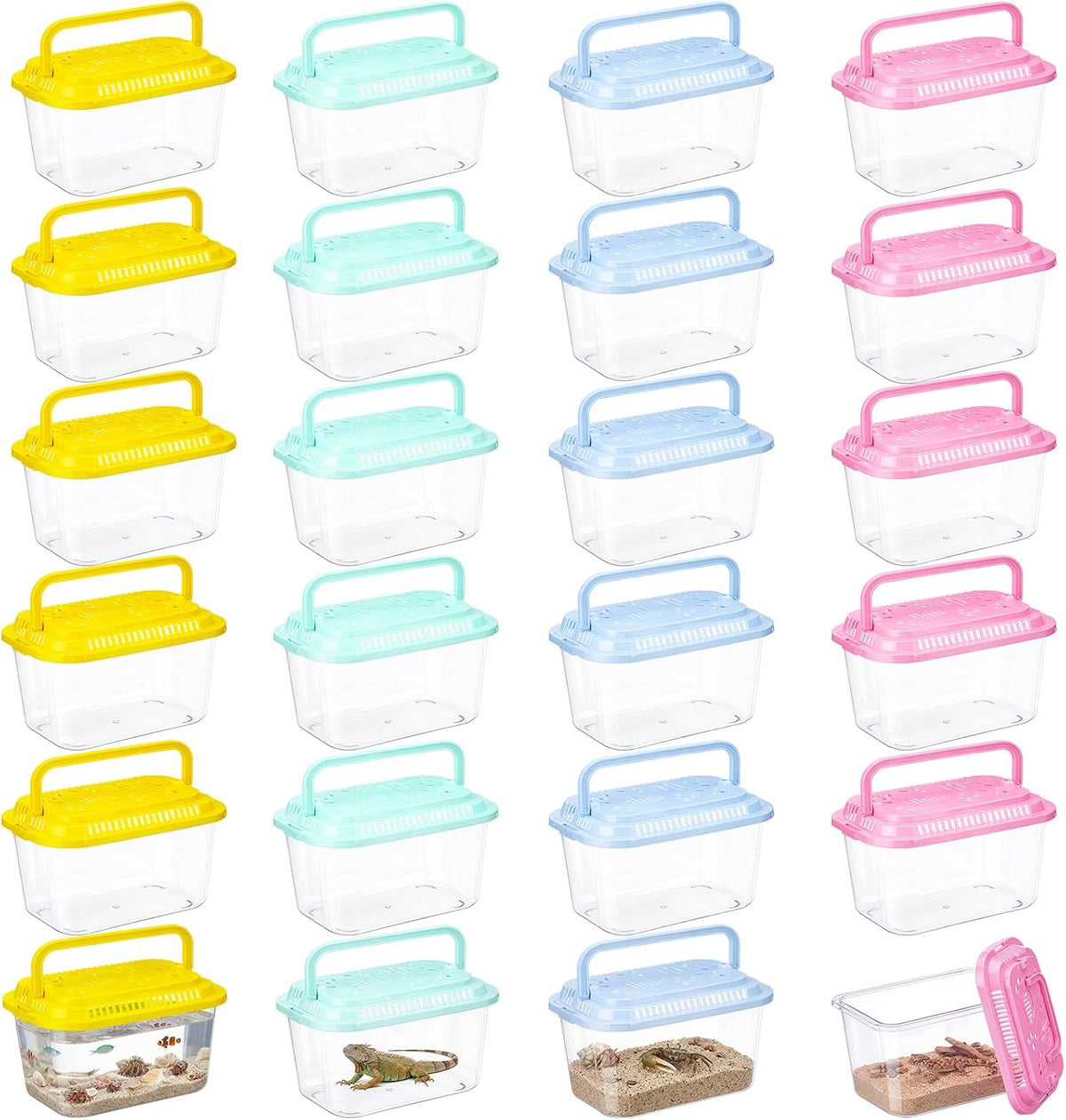 Leinuosen 12 Pcs Small Fish Tank Bulk Plastic Reptile Terrariums Carrier