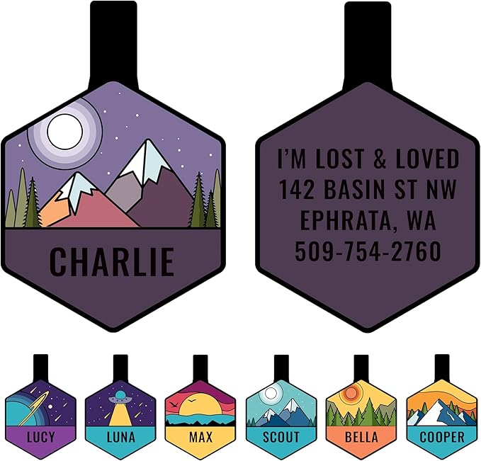 GoTags Silent Dog Tag, Personalized Engraved Hexagon Silicone Dog and Cat Name by GoTags
