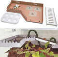 Hermit Crab Accessories - Platform with Ladder and Food Dish, Hermit Crab Climbing Toys, Habitat Supplies and Tank Accessories for Reptiles, Hamsters, Geckos, Small Lizards