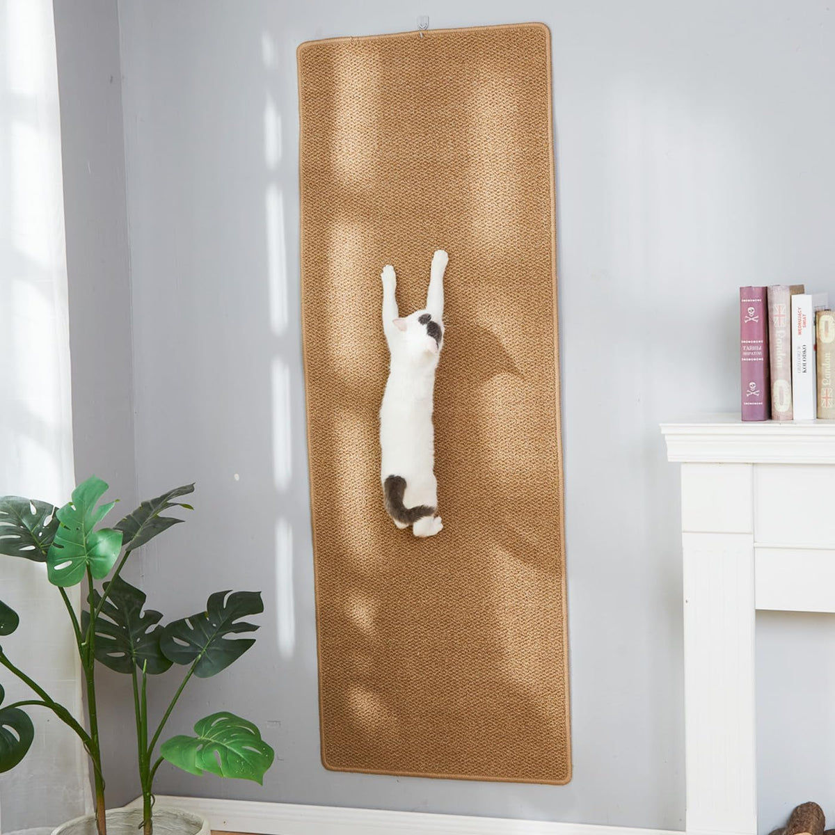 SHENGOCASE Thickened Cat Wall Corner Climbing Carpet, Cat Wall Furniture, Wall Corner Scratcher, Scratching Post (Gray), Grey