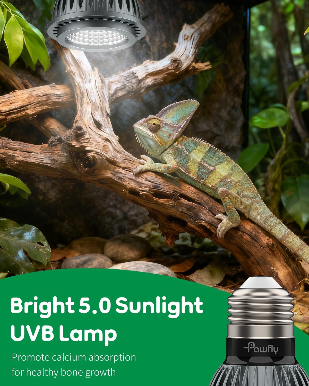Pawfly UVB Light for Reptiles, 3 W 5.0 UVB Bulb, Tropical Reptile UVA UVB Lamp for Calcium & Vitamin D3 Synthesis, High Intensity LED Lamp for Turtle, Lizard & Red-Footed Tortoise