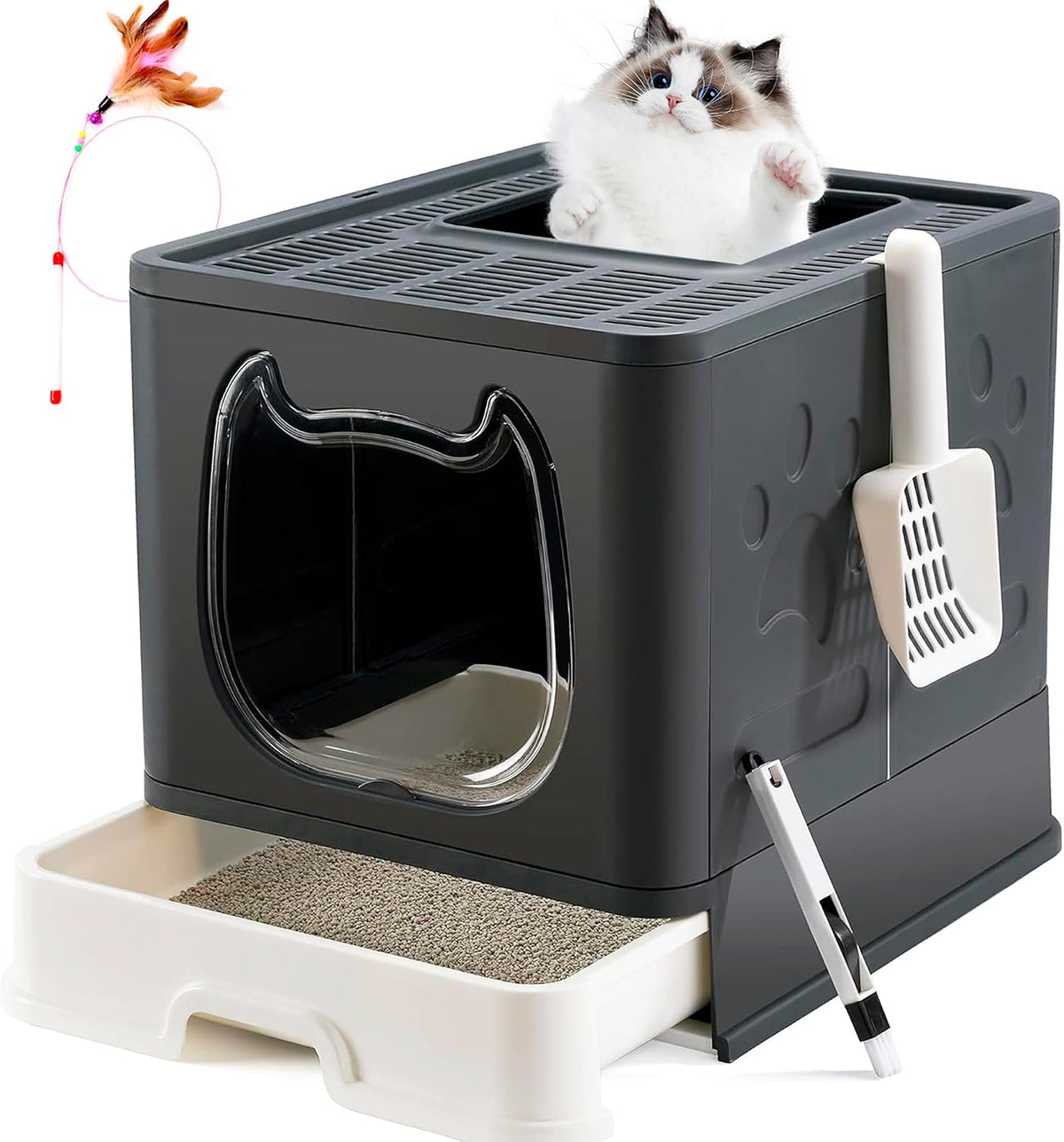 Cat Litter Box with Lid, Top Entry Kitten Litter Box with Controlled Access, Covered Enclosed Cat Potty Odor Control for Small to Medium Cats, Scoop and Clean Brush Included (Grey)