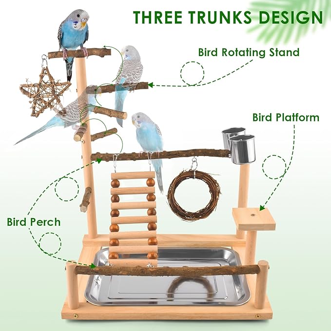 KATUMO Bird Playground - Image 2
