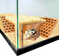 Hermit Crab Underground Tunnel Cave Corner | Hermit Crab Climbing Tank Decor Hide Hideout | Enrichment Habitat Hideaway Decoration Accessories Supplies Toys Ornaments