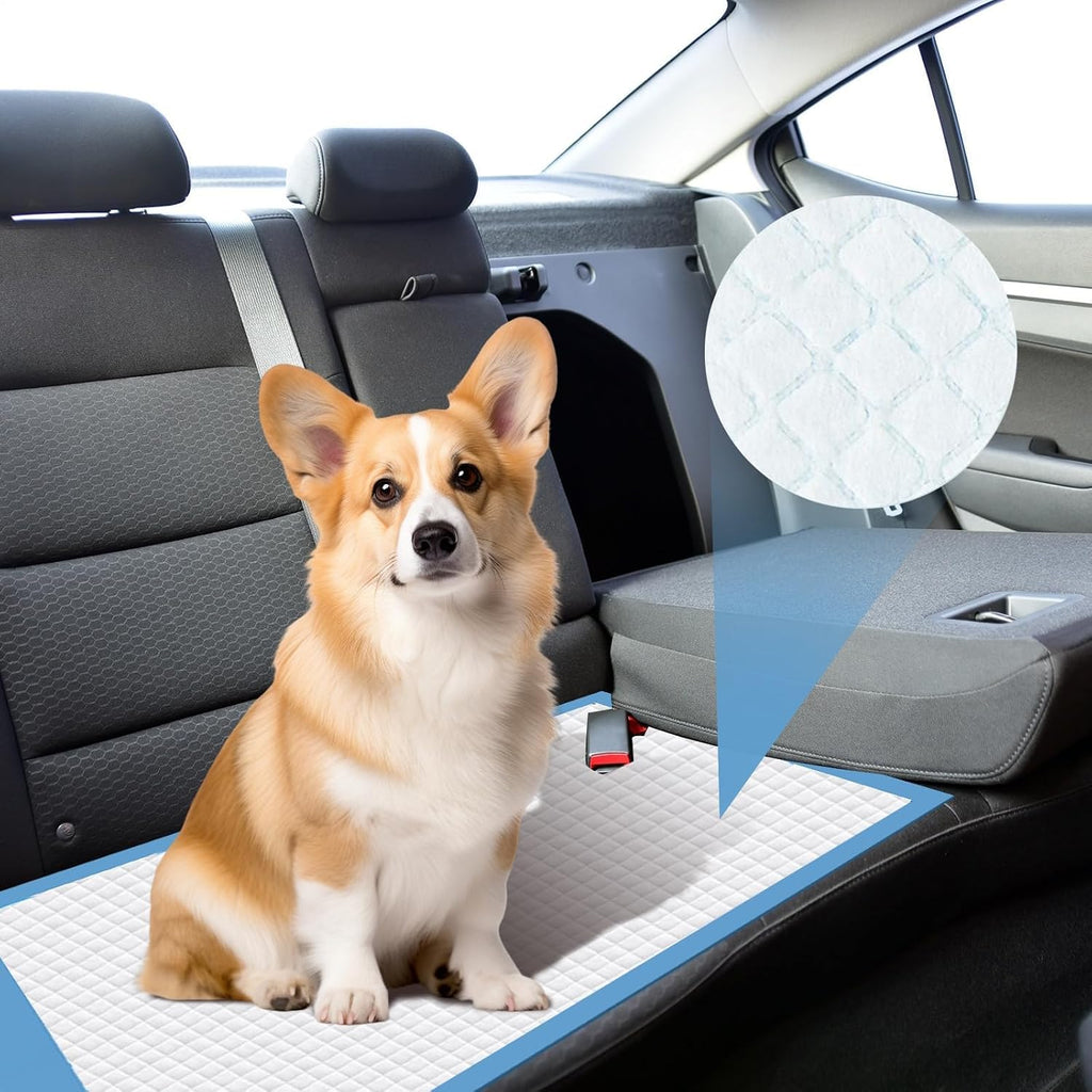 80 Packs 30"x36" Disposable Puppy Pads, Dog Training Pads, Super Absorbency Disposable Underpads with Leak-Proof and Odor Control, Disposable Training Pads for Puppies, Dogs, Cats, Rabbits