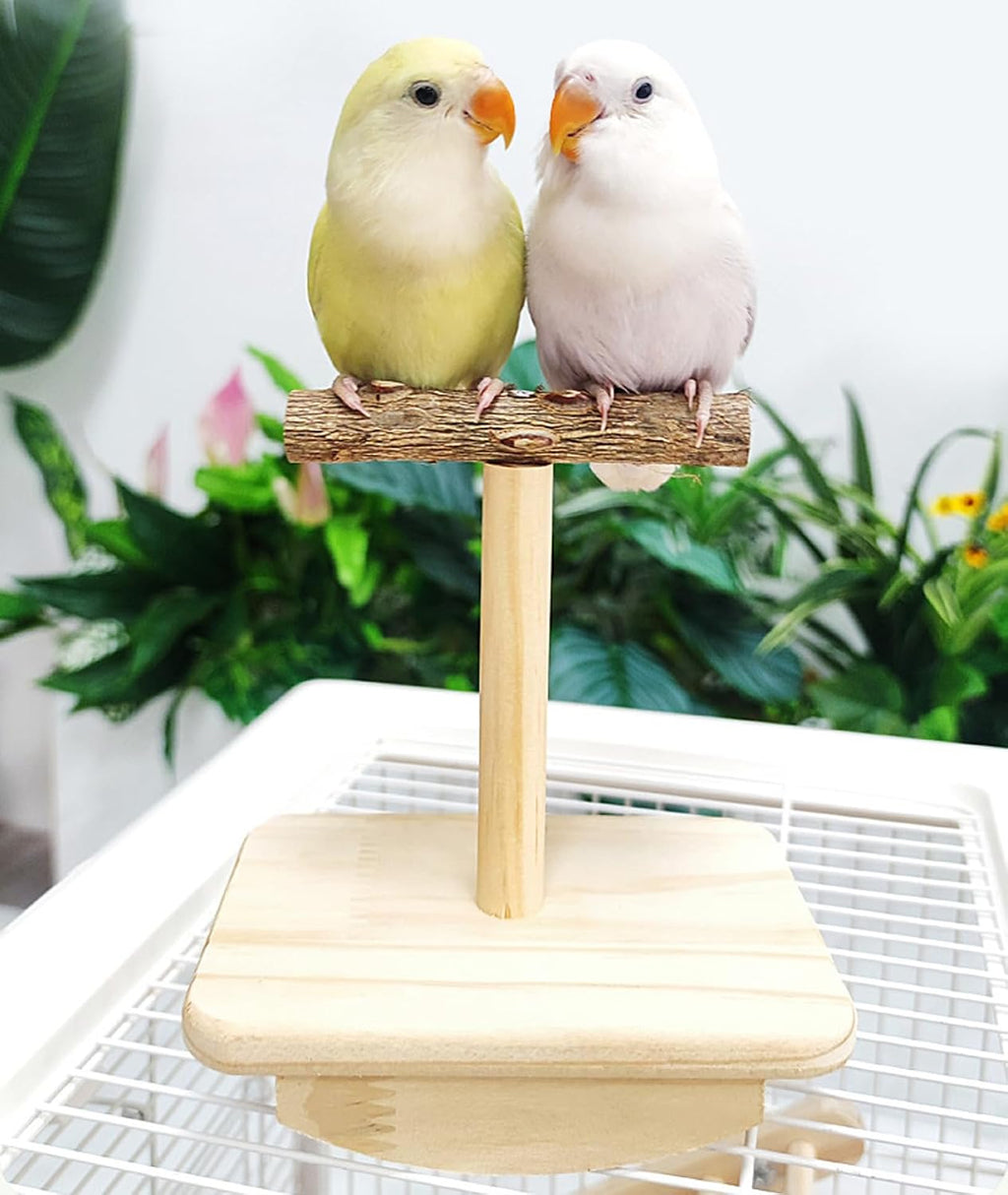 Bird Perch Stand Trainings, Prickly Ash Wood Parrot T Stand