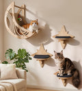 Star Cat Wall Shelves with Non-Slip Pads for Indoor Cats, Wall Mounted
