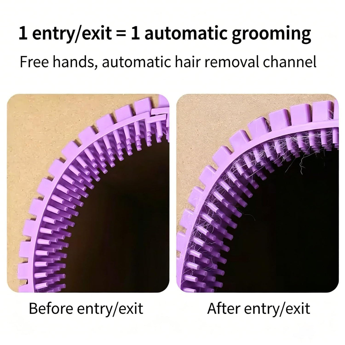3-Pack Cat Self Groomer for Cardboard Box, Scratch Brushes with Box, Interactive Cat Arch Self Groomer with Scratching Pad, DIY Grooming Brush Ring, Hideouts & Enrichment Play (Purple Pink Yellow)