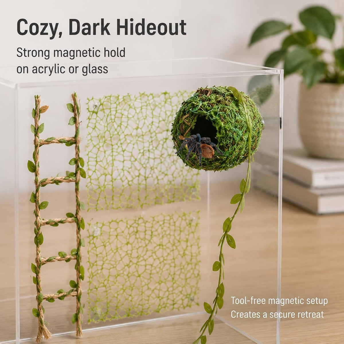 Magnetic Jumping Spider Enclosure Accessories