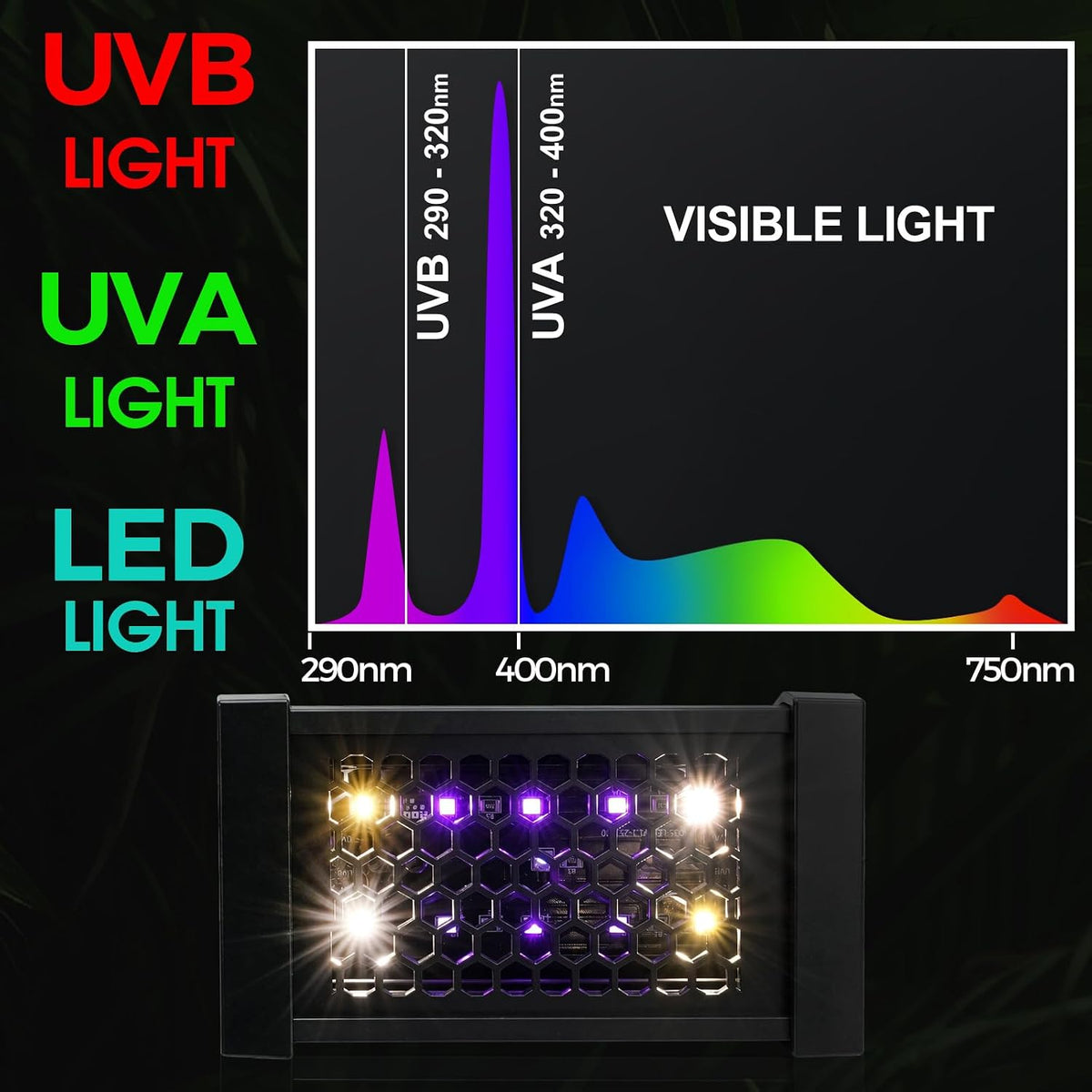 UVB Reptile Light - 4H/8H/12H Timer Auto On/Off - 3 Modes Lighting - 5 Level Brightness - 4W UVA UVB Lamp for Optimal Calcium Metabolism - Desert Tropical Animals Bearded Dragons Turtle Gecko