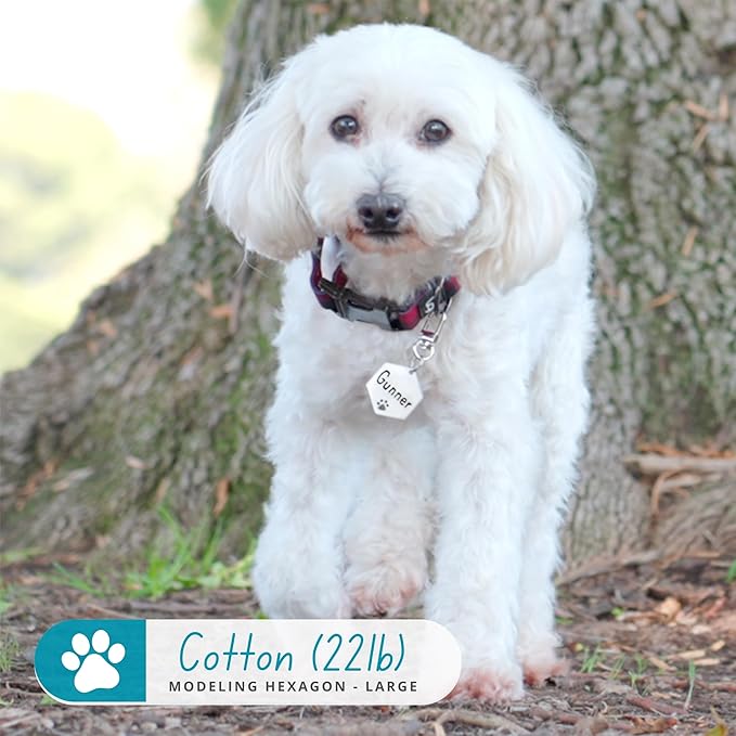 Ultra Joys Personalized Dog Tags - Image 3