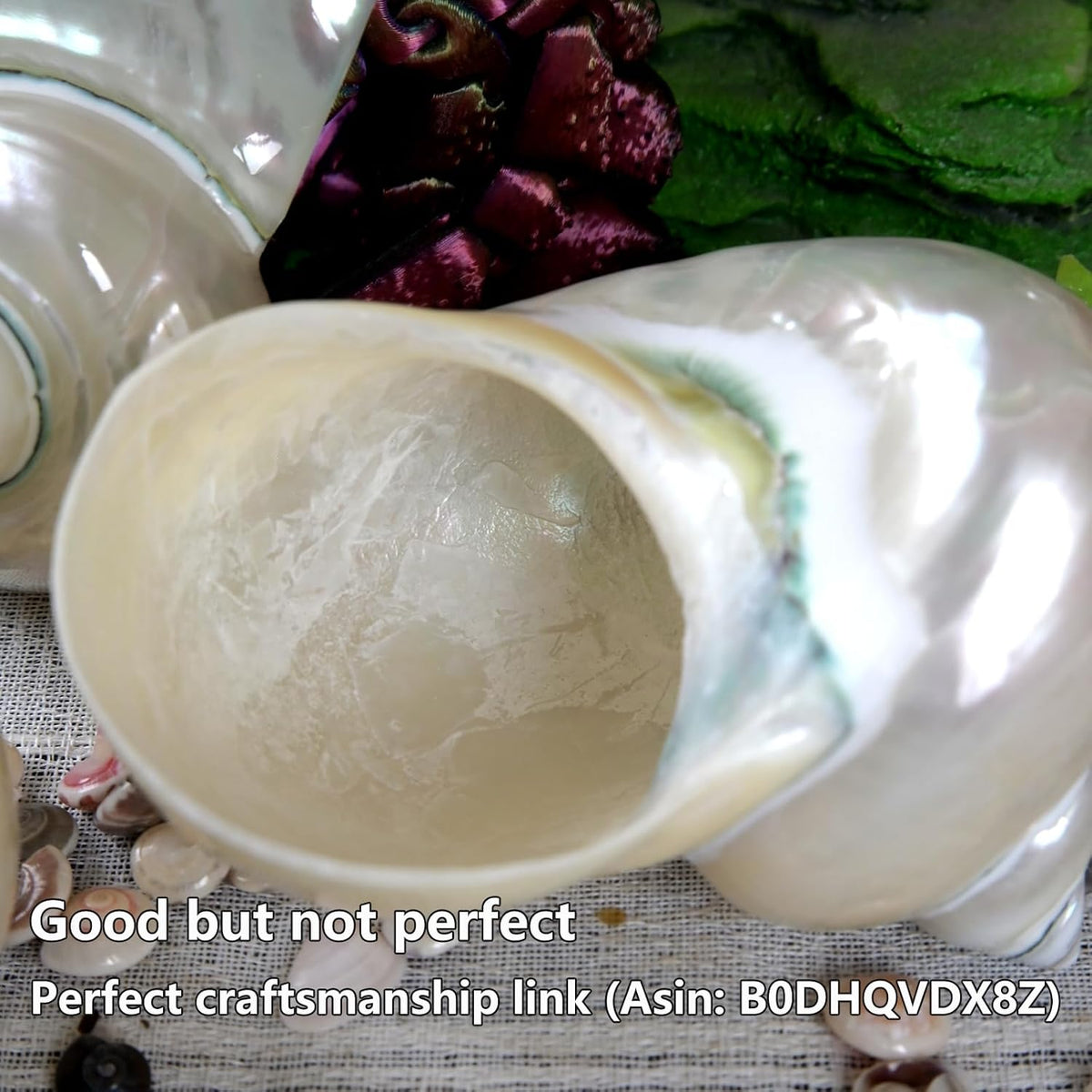 2pcs Large Hermit Crab Shells, Natural Big Turbo Seashells, White
