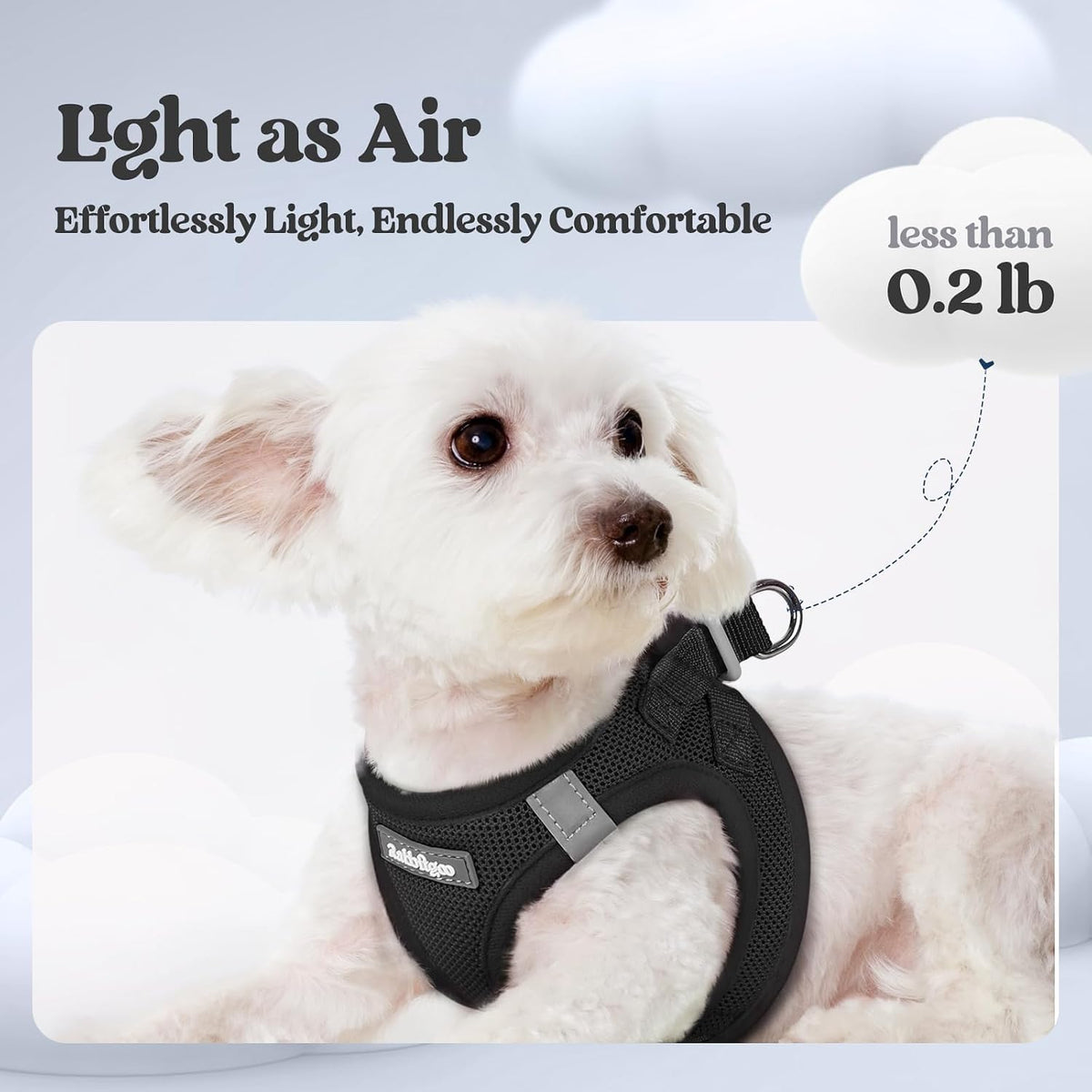 rabbitgoo Dog Harness Small Sized and Leash Set, Step-in Puppy Pet Vest