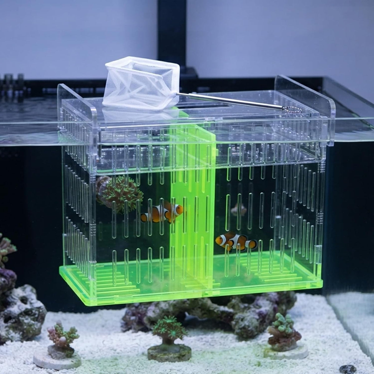 Aquarium Breeder Box for Fish Tank, Acrylic Isolation Hatchery with Divider