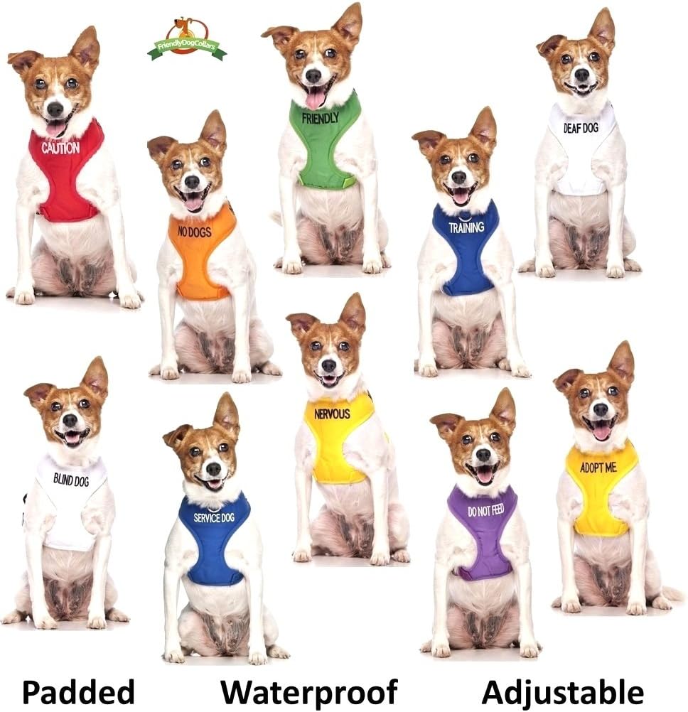 Adopt ME Yellow Color Coded 2 4 6 Foot Padded Dog Leash (New Home Needed) Donate to Your Local Charity (4 Foot Leash)