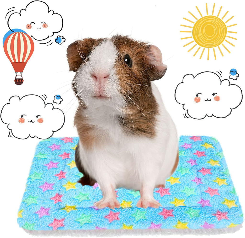 Jetec 4 Pcs Guinea Pig Bed Pads Cute Pattern, 10 x 11 Inch Plush Mat