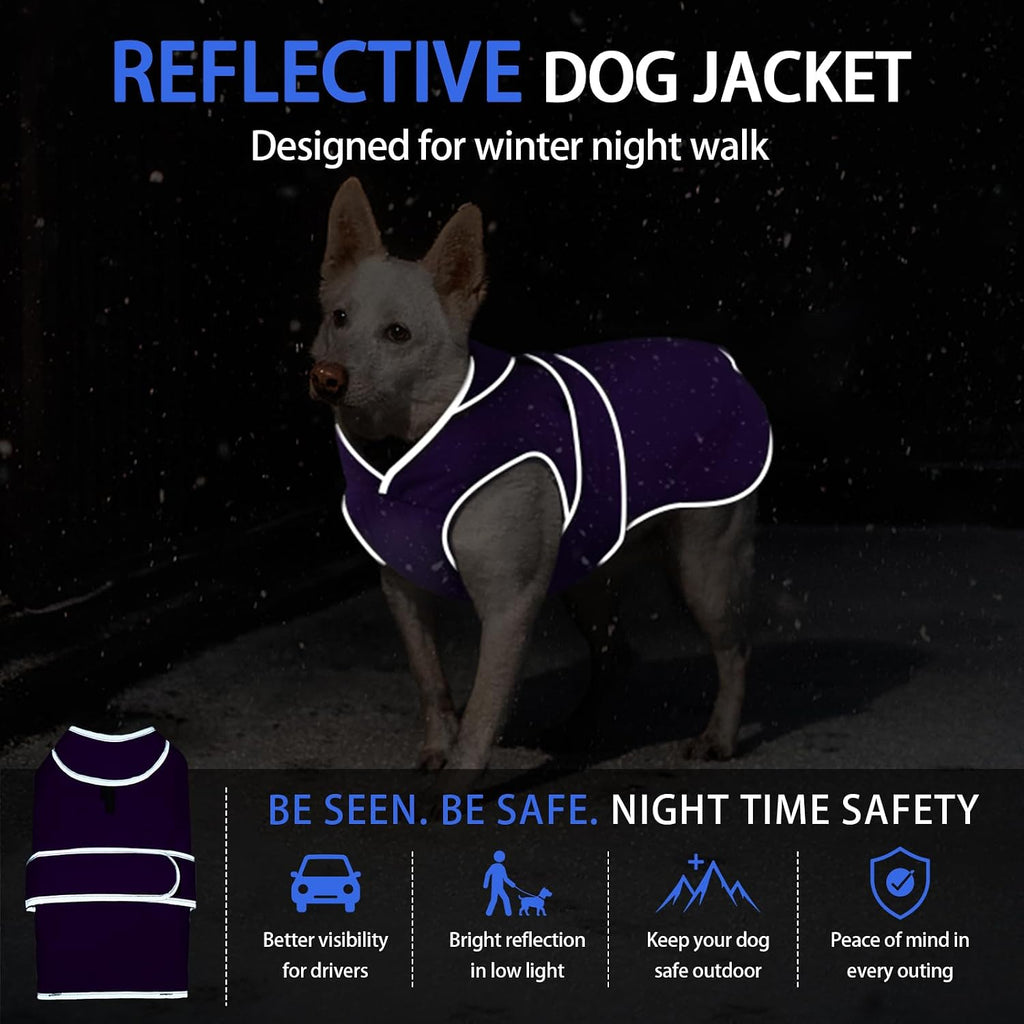 MIGOHI Warm Dog Coat Waterproof Winter Dog Jacket, M, Purple