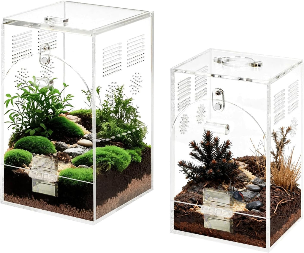 Set of 2 Jumping Spider Enclosure