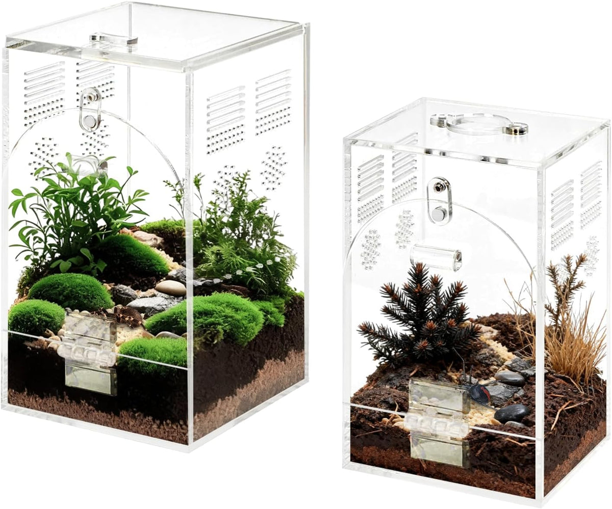 Set of 2 Jumping Spider Enclosure