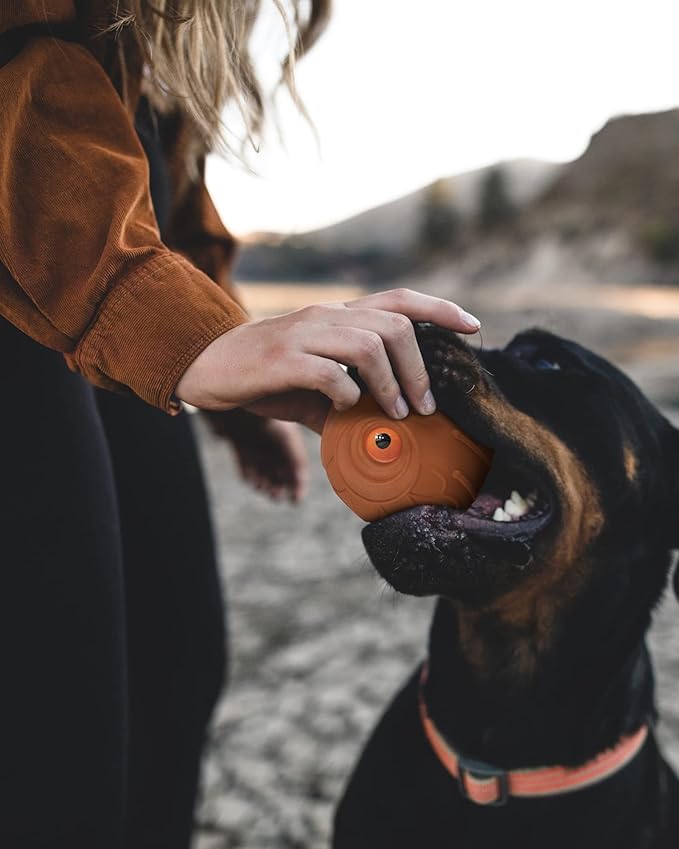 Mewlmart Giggle Ball for Dogs Owl Toys for Aggressive Chewers Dog Ball Toy for - Image 7