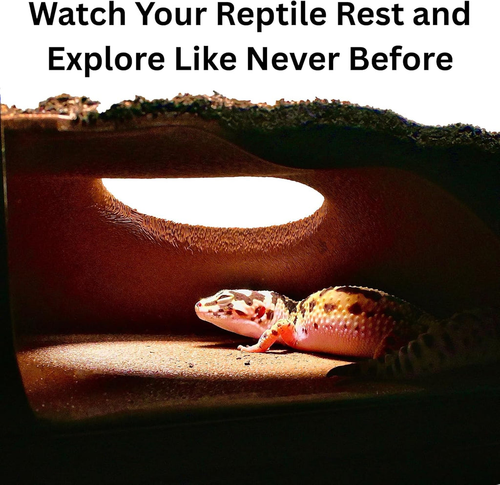 Reptile Corner Underground Cave Natural Curve Viewing Hide | Hognose Snake, Corn Snake & Leopard Gecko Hideout Reptile Habitat Tank Enrichment | Decor Decoration Accessories Supplies Toys Ornaments