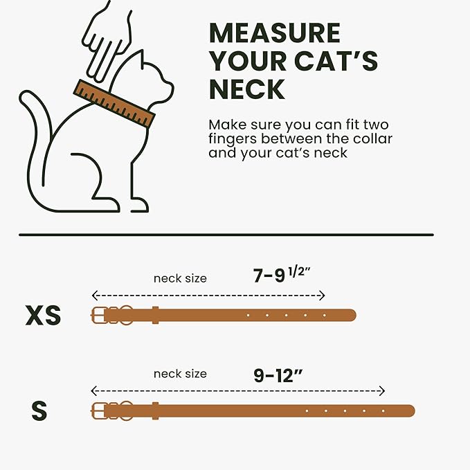 BRONZEDOG Leather Cat Collar - Image 7