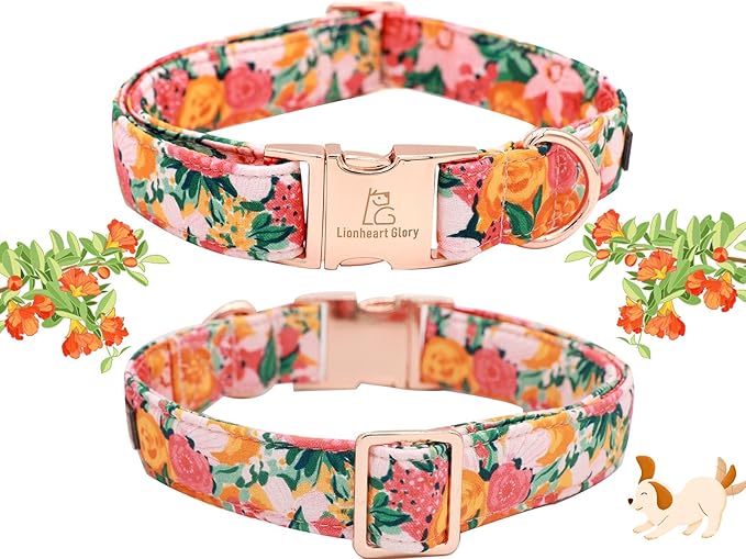 Lionheart Glory Dog Collar - Image 4