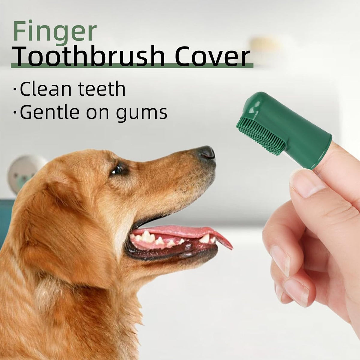 Dog Toothbrush and Toothpaste Kit Vanilla Dog Toothpaste(70g)