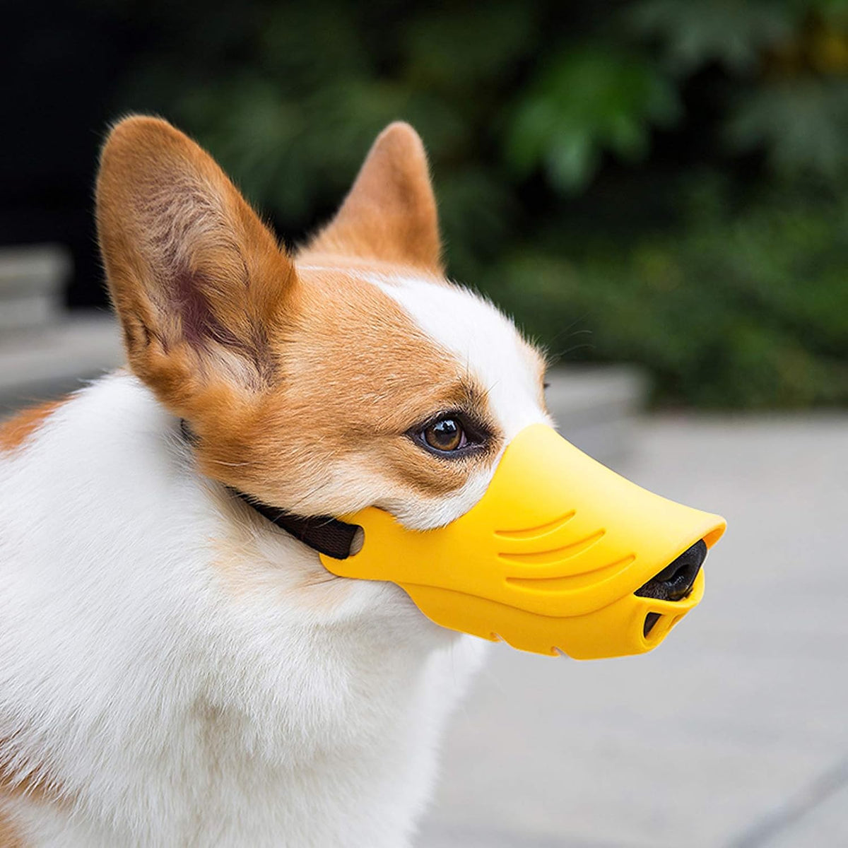 LUCKYPAW Soft Duck Silicone Dog Muzzle for Small Medium Dogs Poodle Corgi