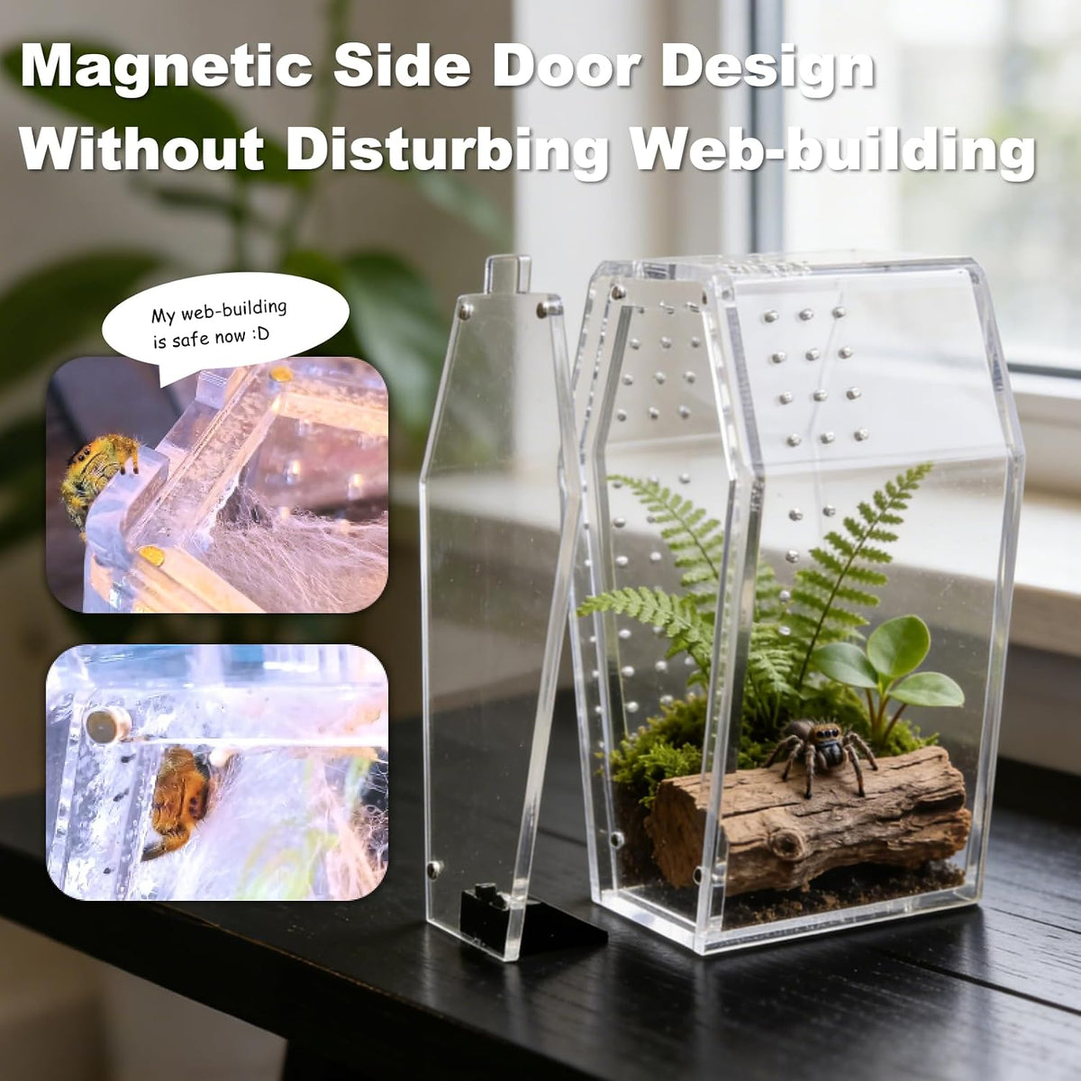Jumping Spider Enclosure Kit, Accessories Terrarium 6PCS-Black
