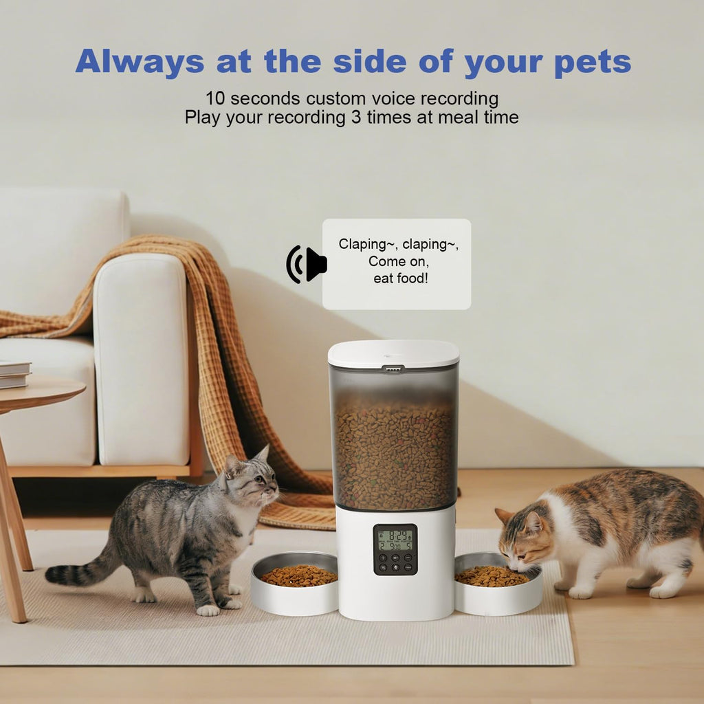 ANDOLL HOME 6L Automatic Cat Feeder, 2 Pets Timed Cat Dry Food Dispenser