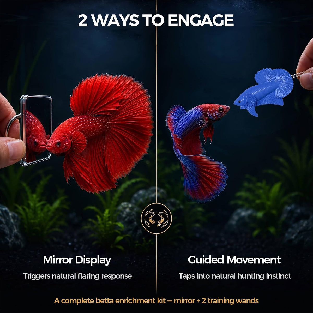 Betta Exercise Kit, Betta Fish Toys, 2 Training Wands and Mirror
