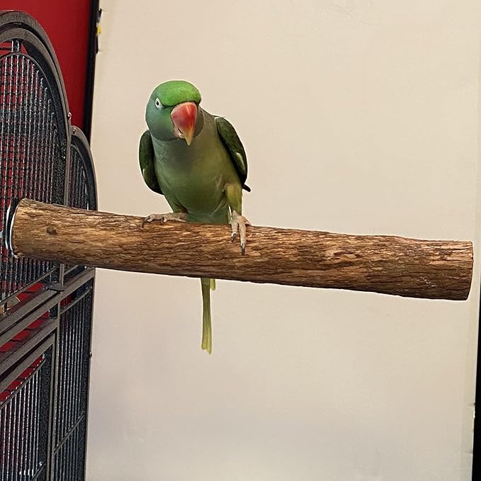 Polly's Hardwood Bird Perch - Image 5