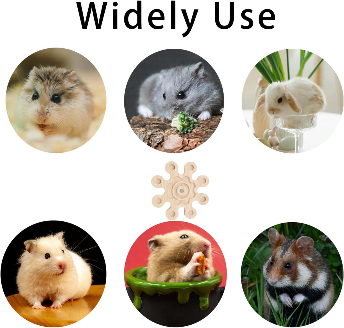 Natural Wood Chinchilla Chew Toy Snowflake Shape, 2 Count