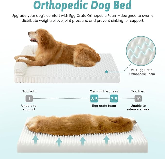 Cute Dog Bed, Faux Rabbit Fur Orthopedic Foam Dog Bed - Image 4