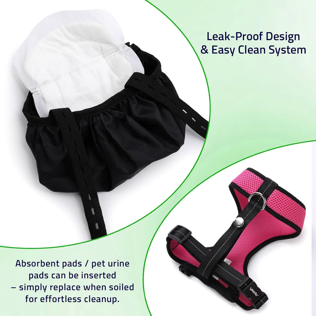 Adjustable Chicken Harness Diaper with 5.4ft Leash - Pink