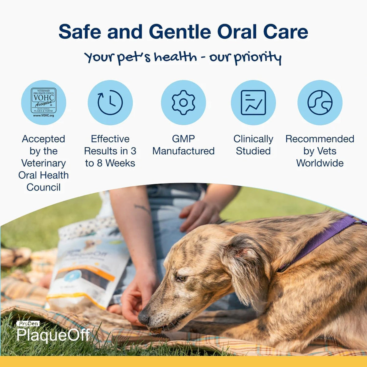 ProDen PlaqueOff Mini Dental Bones for Dogs - Peanut Butter & Bacon (12oz)