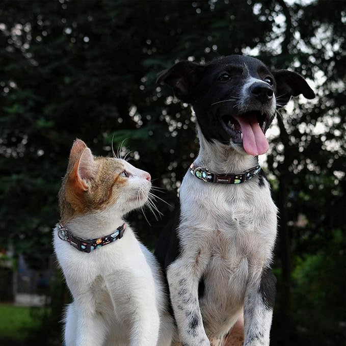 Roses&Poetry Dog Collar with Colourful Star Patterns, Adjustable Durable Puppy - Image 5