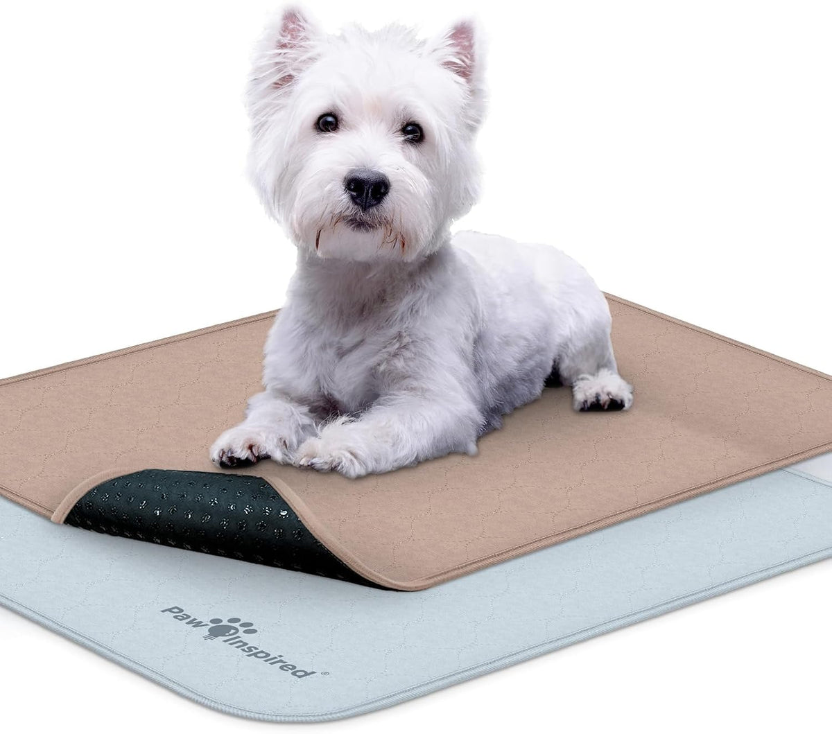 Paw Inspired Washable Crate Liners for Dogs, 47x29 Inch, 2 Pack