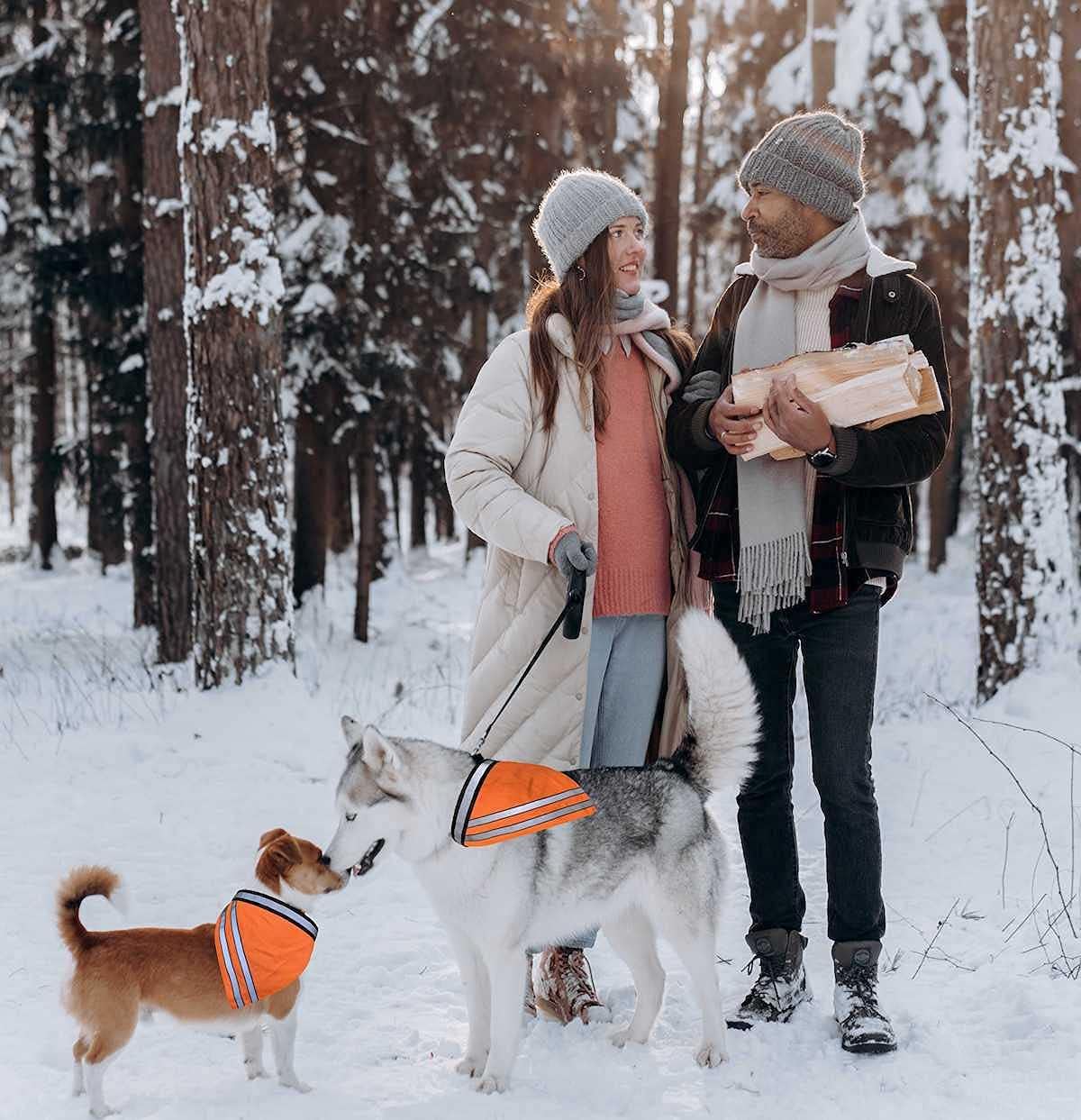 Reflective Dog Bandana Velcro Safety Scarf 2 Pack Orange Dog Reflective Gear