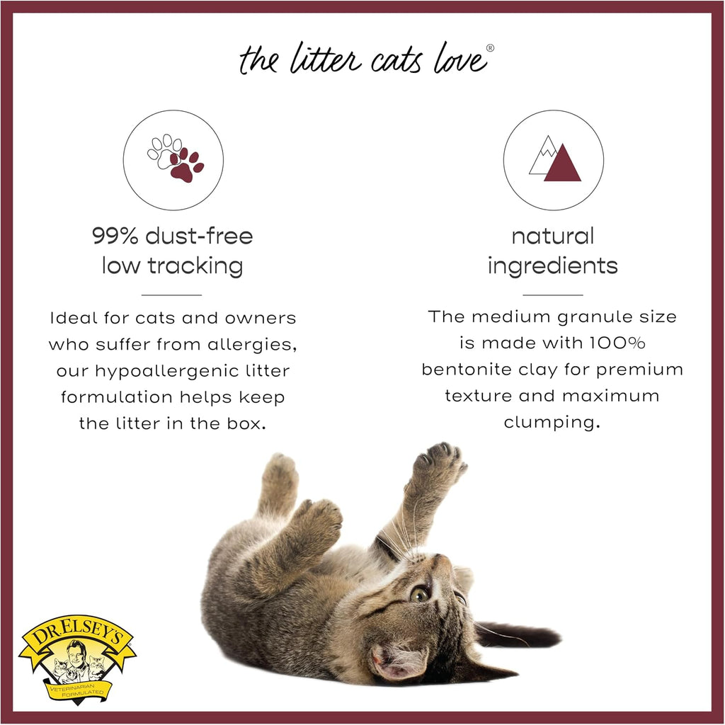 Precious Cat Classic Premium Clumping Cat Litter, 40 lb Bag