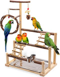 ‌Bird Playground, Natural Wooden Parrot Stand by Unknown