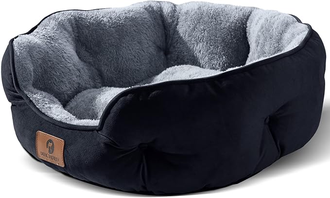Asvin Medium Dog Bed for Medium Dogs, Large Cat Beds for Indoor Cats, Pet Bed by Asvin