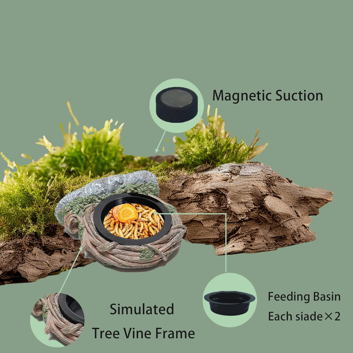 Reptile Feeding Ledge with 2 Cups, Hollow Vine Food Dish & Water Bowl for Bearded Dragon, Gecko, Lizard & Snake – Reptile Tank Accessories for Terrariums